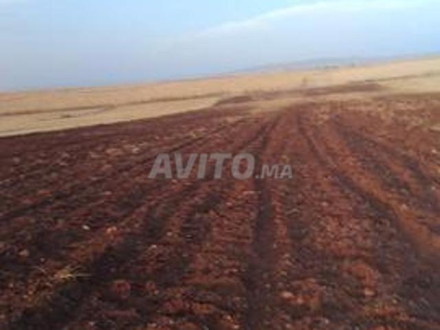 Propriété vente à El Gara, Gharb-Chrarda-Beni Hssen
