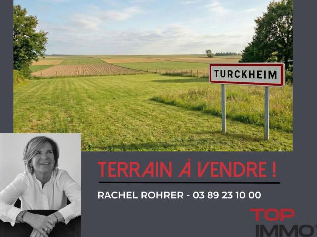 Terrain vente à Colmar-Ribeauvillé, Turckheim