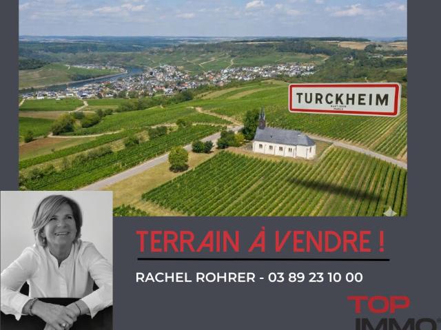 Terrain vente à Colmar-Ribeauvillé, Turckheim