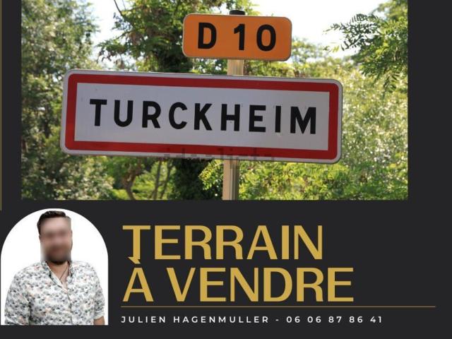 Terrain vente à Turckheim, Collectivité européenne d'Alsace
