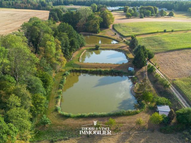 Terrain vente à Ueberstrass, Collectivité européenne d'Alsace