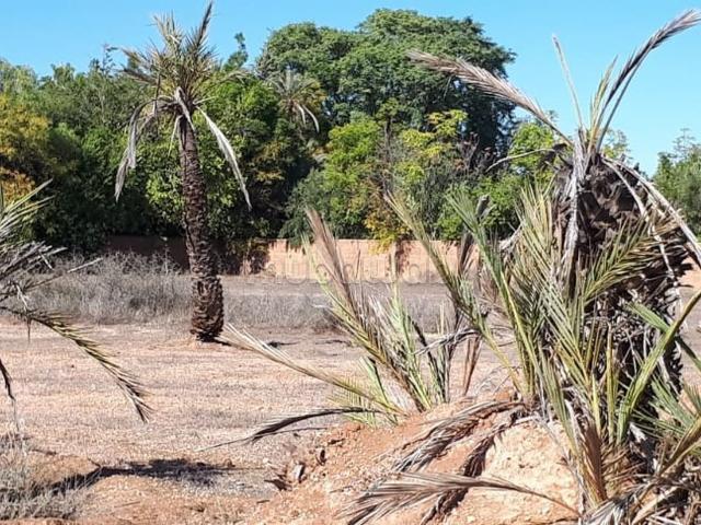 Terrain vente à Tassoultante, L'Oriental