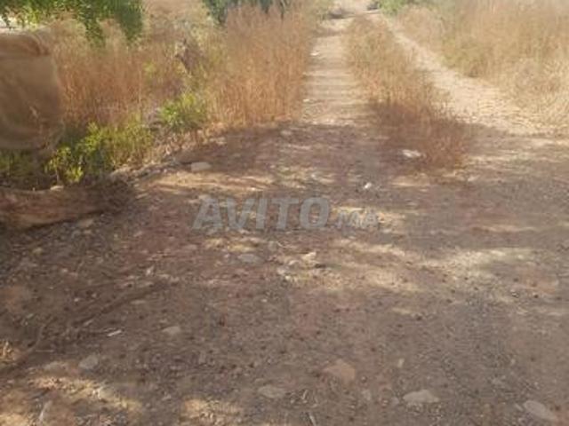 Propriété vente à Berkane