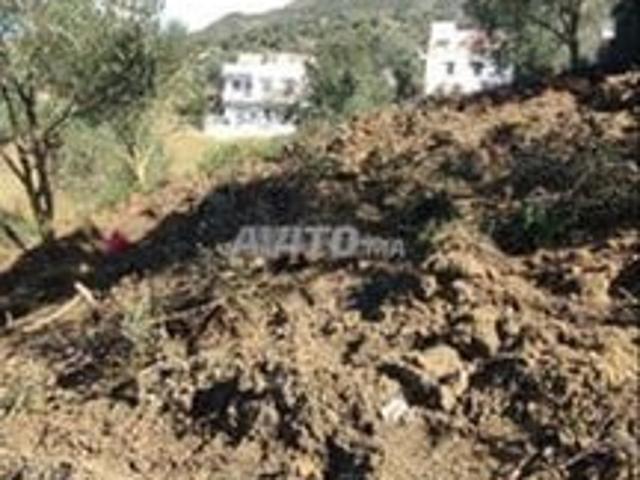 Propriété vente à Chauen, Tanger-Tétouan