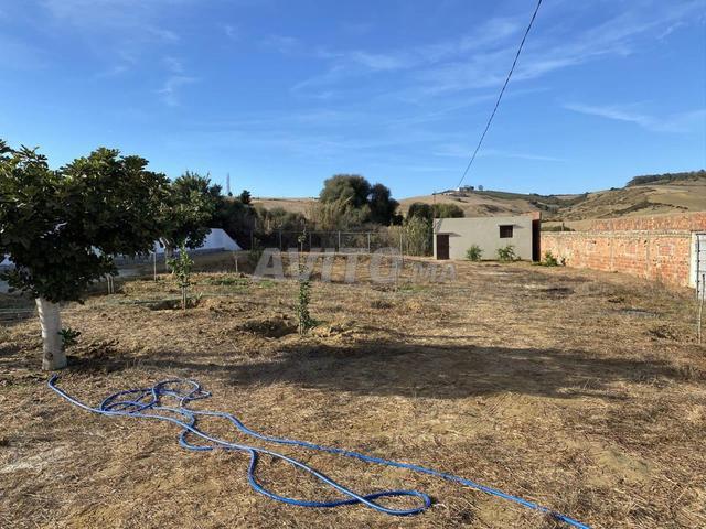 Propriété vente à Larache, Tanger-Tétouan