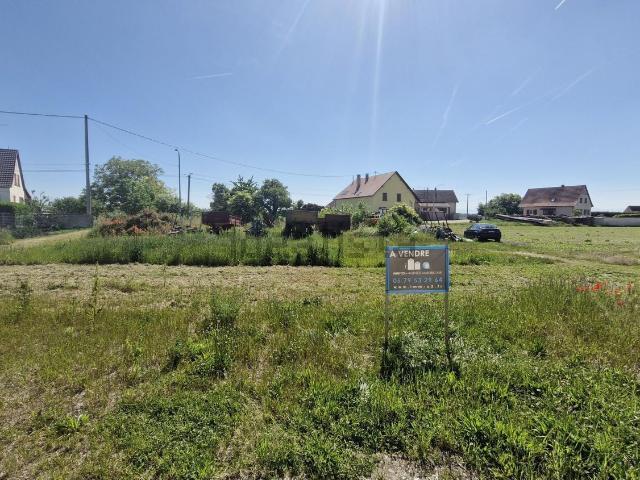 Terrain vente à Urschenheim, Collectivité européenne d'Alsace