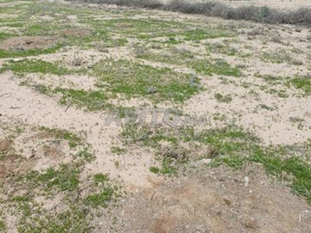 Propriété vente à Ouarzazate