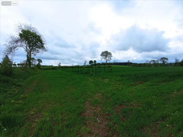 Terrain vente à Le Theil-Bocage, Valdallière