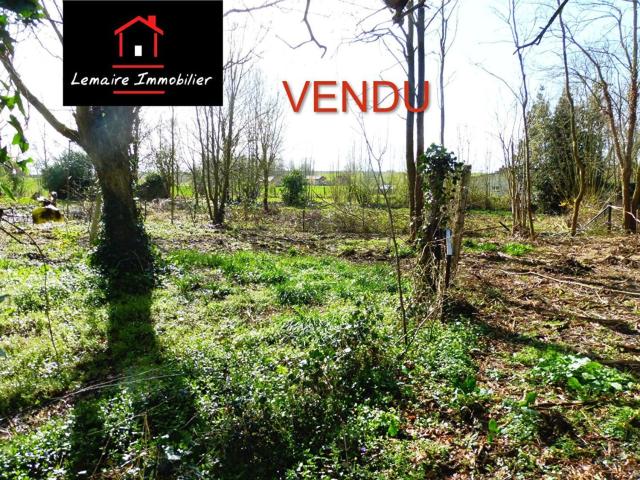 Terrain vente à Vendegies-sur-Écaillon, Nord