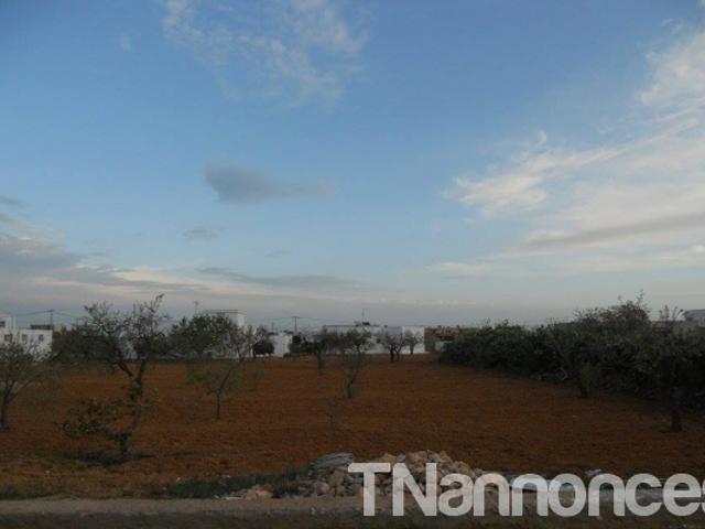 Terrain vente