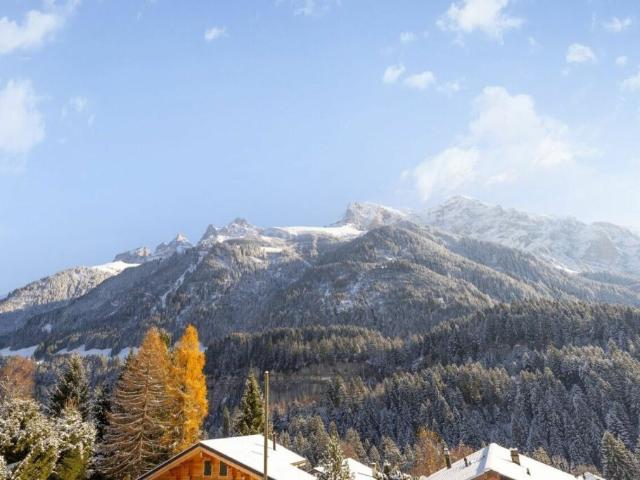 Grundstück kaufen in Champéry, Wallis
