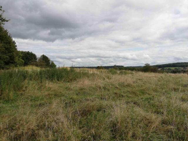 Terrain vente à Montbéliard, Allenjoie