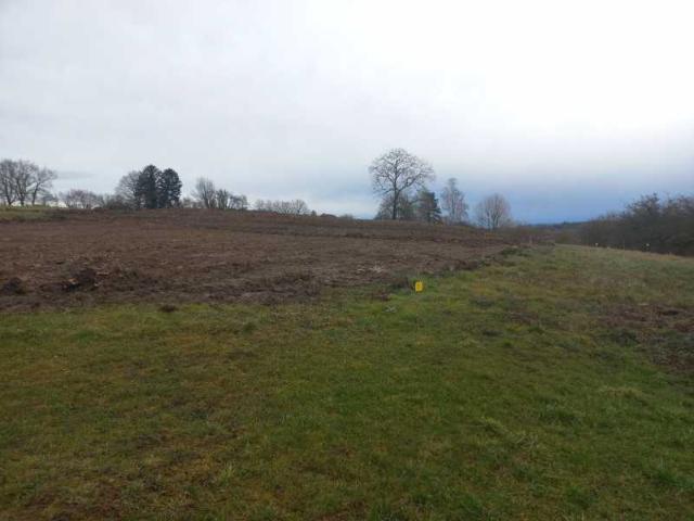 Terrain vente à Montbéliard, Allenjoie