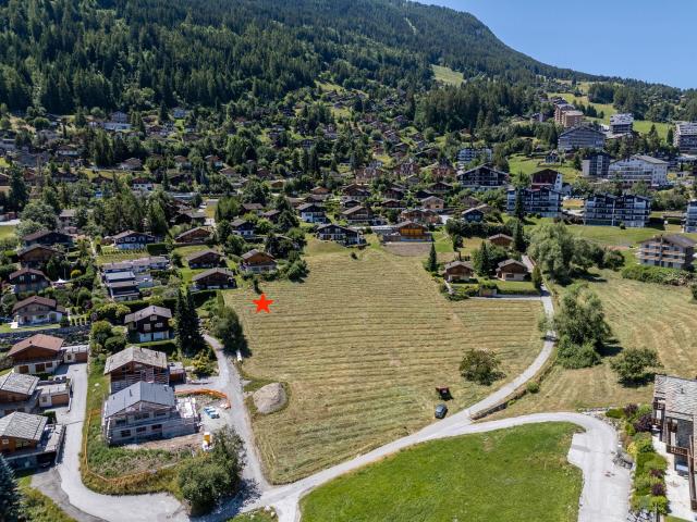 Grundstück kaufen in Baar, Nendaz, Wallis