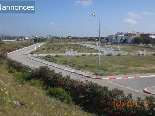 Terrain location