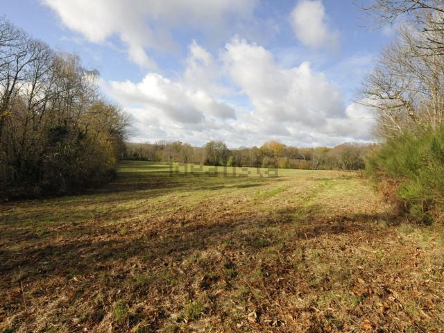 Terrain vente à La Merdie, Vicq-sur-Breuilh