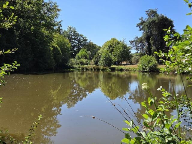 Terrain vente à Le Chauveix, Vicq-sur-Breuilh