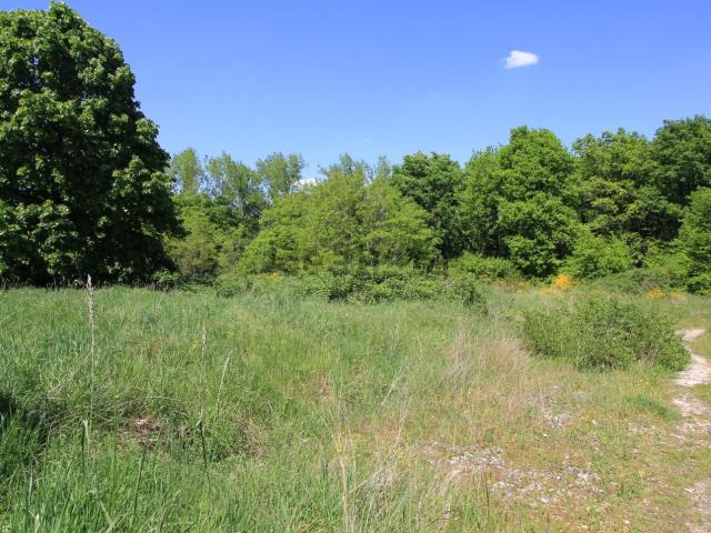 Terrain vente à Ainset-Est, Vierzon