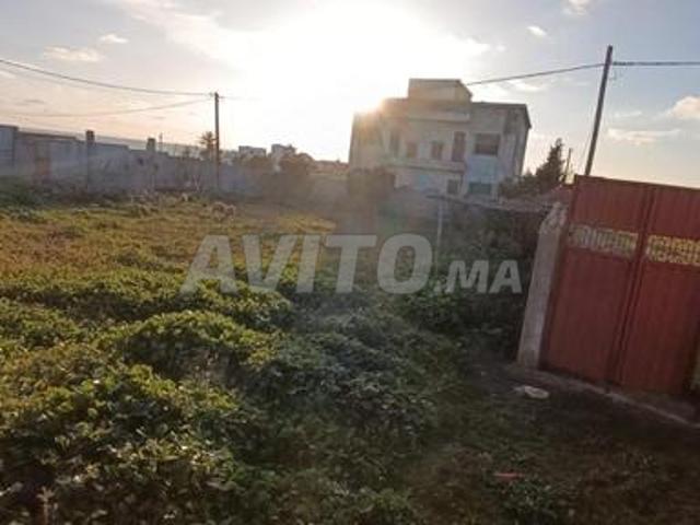 Propriété vente à Assilah, Tanger-Tétouan