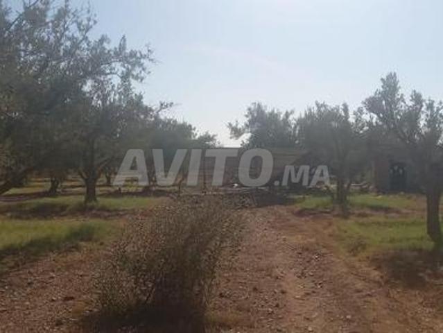 Propriété vente à Anfa, Gharb-Chrarda-Beni Hssen