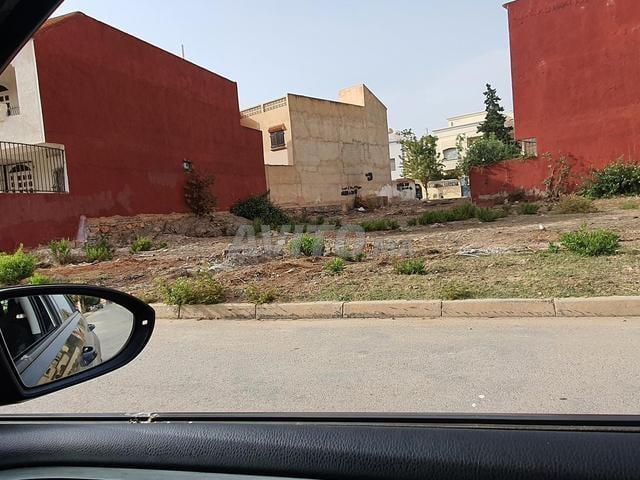 Propriété vente à Saida