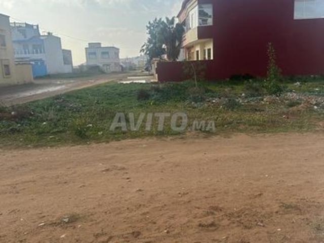 Propriété vente à Moulay Bousselham