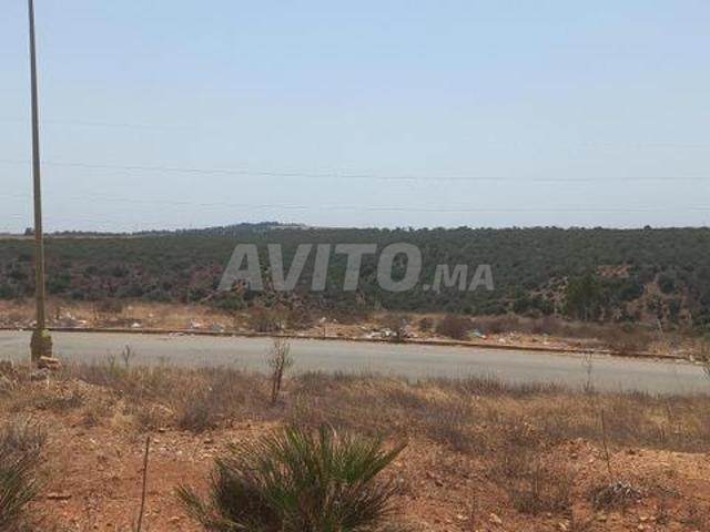 Propriété vente à Tamesna