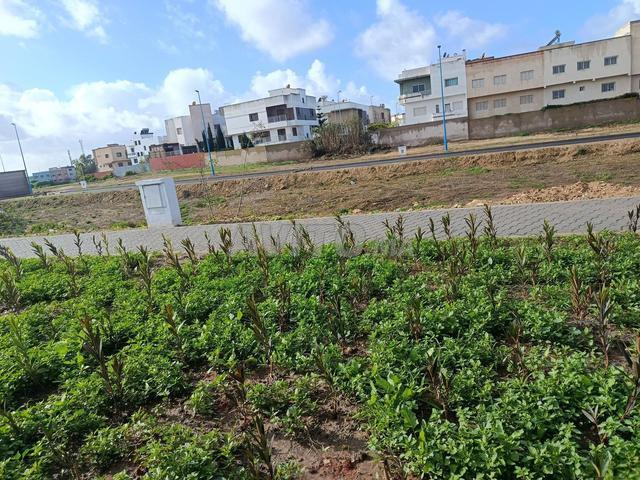 Propriété vente à El Ma, Gharb-Chrarda-Beni Hssen