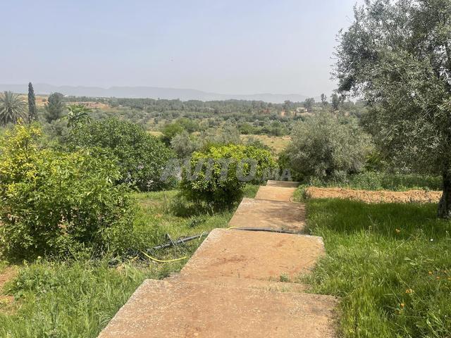 Propriété vente à Meknès