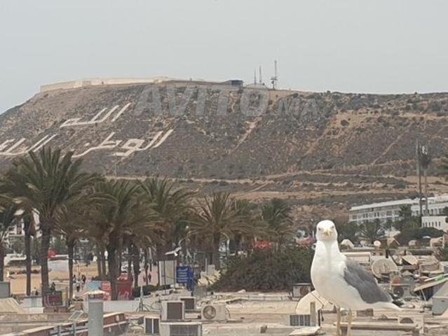 Propriété vente à Tilila, Agadir
