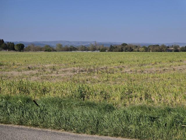 Terrain vente à Villasavary, Aude