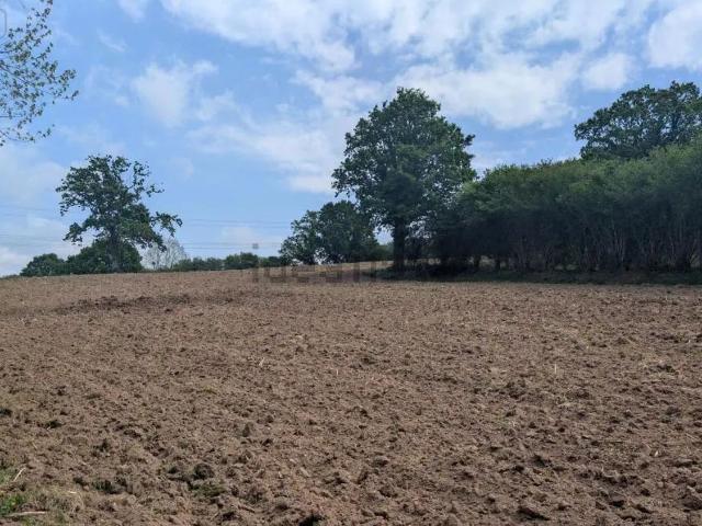 Terrain vente à Rouffigny, Villedieu-les-Poêles-Rouffigny