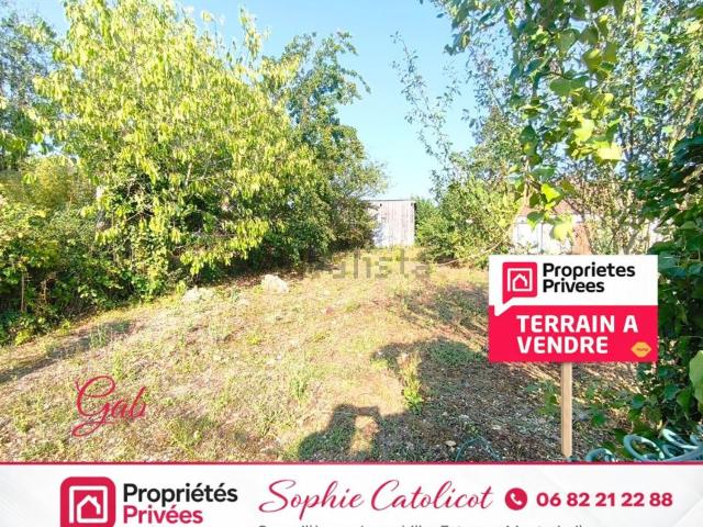 Terrain vente à Villeneuve-la-Lionne, Marne