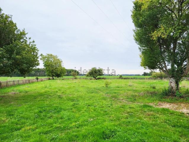 Terrain vente à Villeneuve-les-Genêts, Yonne