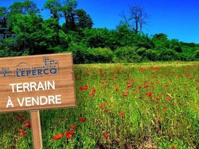 Terrain vente à Pisseleux, Villers-Cotterêts