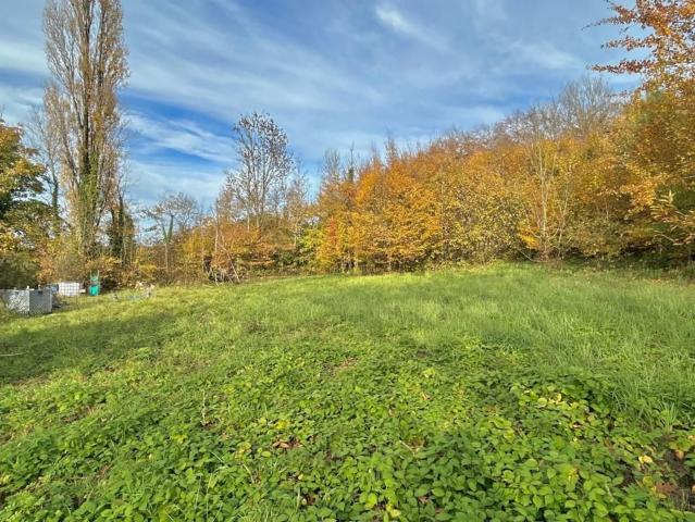 Terrain vente à Pisseleux, Villers-Cotterêts