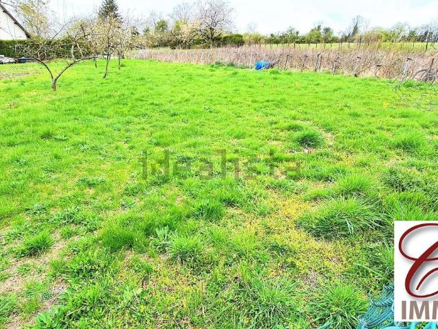 Terrain vente à Le Hamois, Vitry-le-François