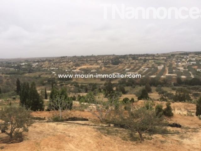 Terrain location