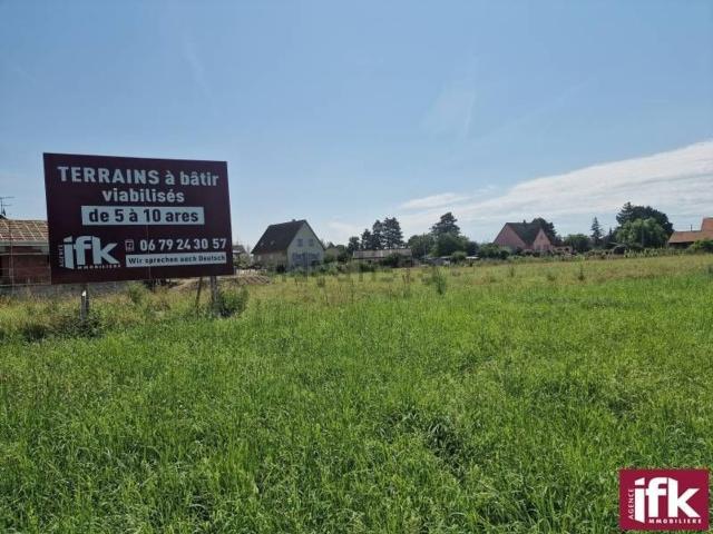 Terrain vente à Vogelgrun, Collectivité européenne d'Alsace