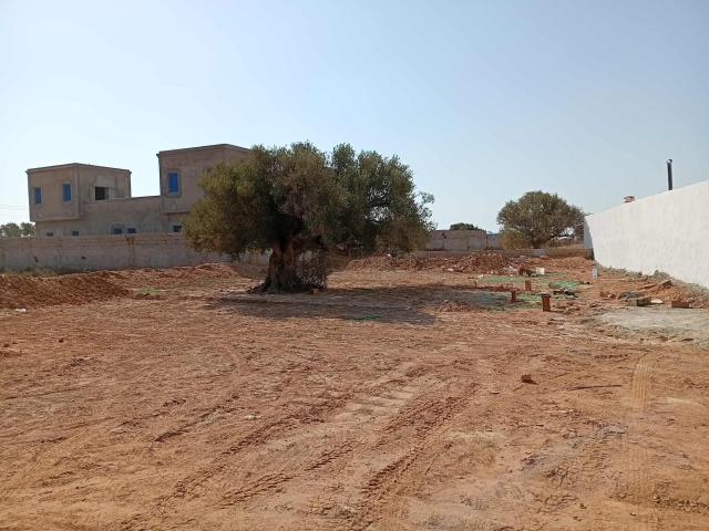 Terrain vente à Midoun, Djerba - Houmet Essouk