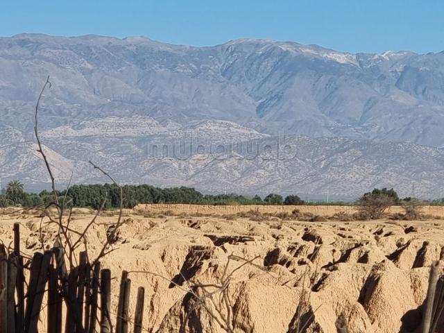 Terrain vente à Taroudant, Oued ed Dahab-Lagouira