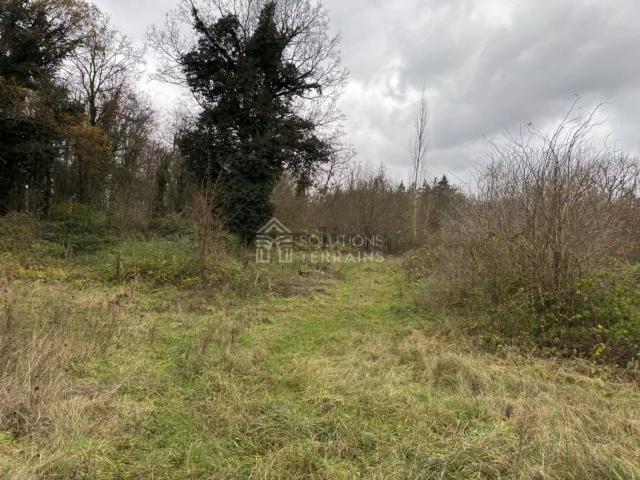 Terrain vente à Vulaines-sur-Seine, Seine-et-Marne