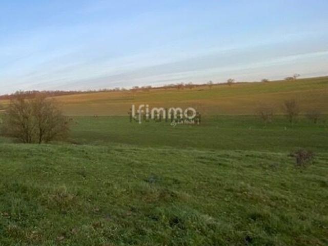 Terrain vente à Woelfling-lès-Sarreguemines, Moselle
