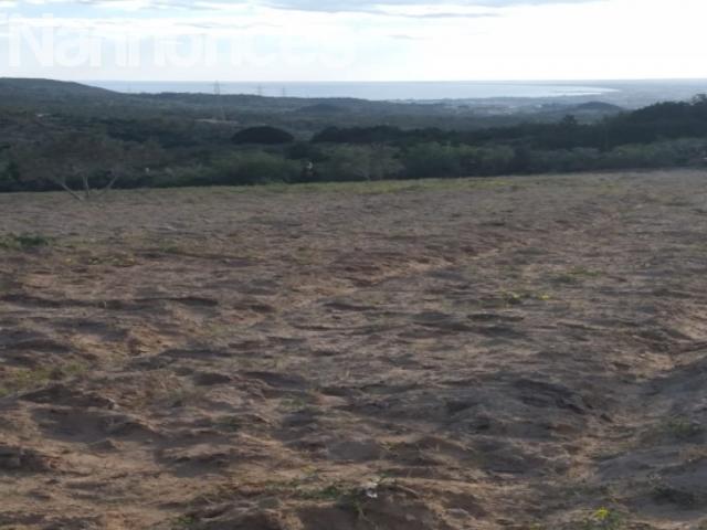 Terrain location