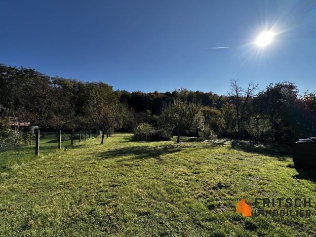 Terrain vente à Walheim, Collectivité européenne d'Alsace