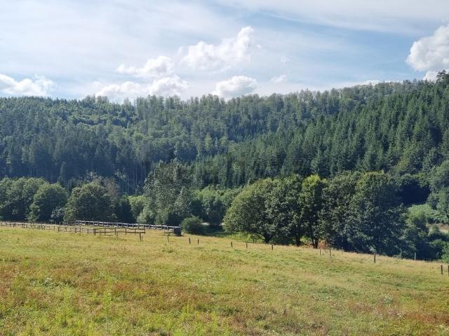 Terrain vente à Eigenthal, Walscheid