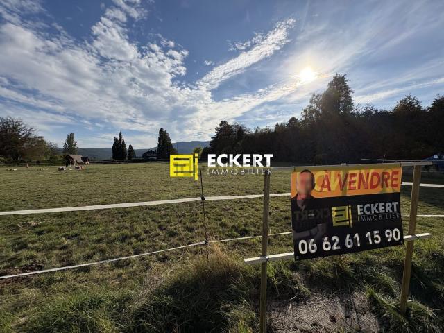 Terrain vente à Obersteigen, Wangenbourg-Engenthal