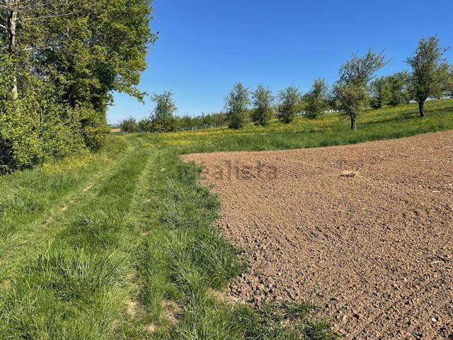 Terrain vente à Westhouse-Marmoutier, Collectivité européenne d'Alsace