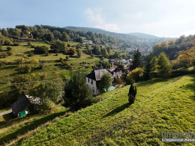 Terrain vente à Wildersbach, Collectivité européenne d'Alsace