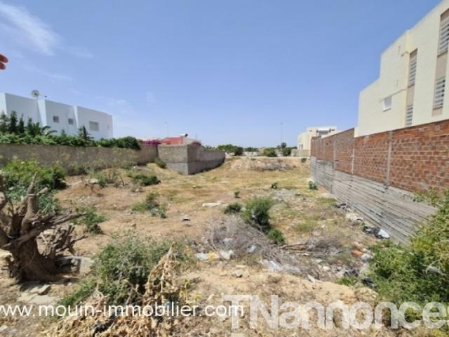 Terrain vente